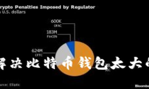 如何解决比特币钱包太大的问题