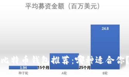 比特币钱包推荐：哪种适合你？