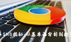 :  虚拟币SNB揭秘：从基本