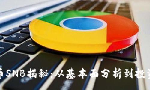 :  
虚拟币SNB揭秘：从基本面分析到投资机遇