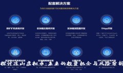 探讨凉山虚拟币：未来的