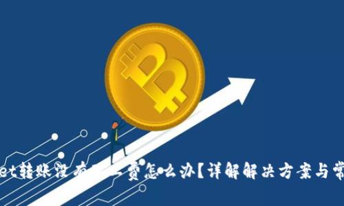 TPWallet转账没有矿工费怎么办？详解解决方案与常见问题