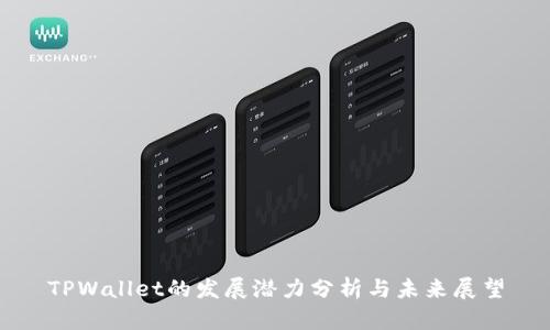 TPWallet的发展潜力分析与未来展望