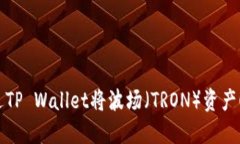  如何通过TP Wallet将波场（