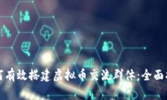 如何有效搭建虚拟币交流