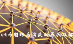 TPWallet币转账后消失的原因