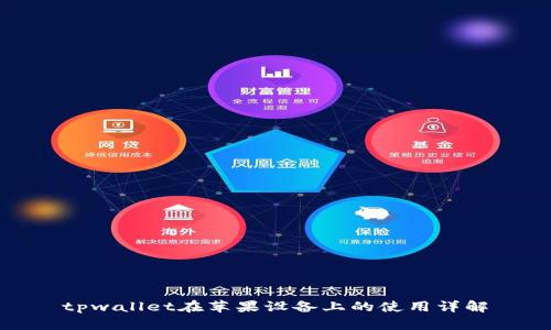 tpwallet在苹果设备上的使用详解