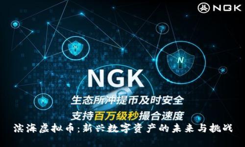 滨海虚拟币：新兴数字资产的未来与挑战
