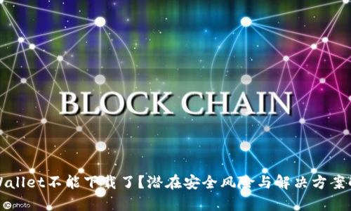 TPWallet不能下载了？潜在安全风险与解决方案解析