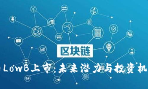 虚拟币LowB上市：未来潜力与投资机遇解析