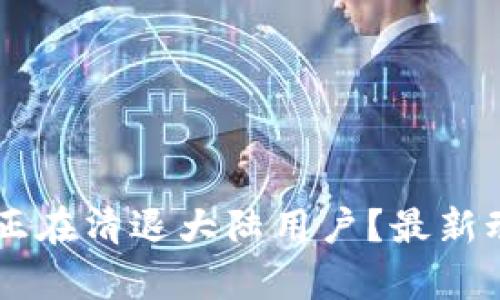 TPWallet是否正在清退大陆用户？最新动态与影响分析