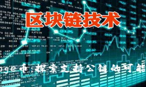 TPWallet与Doge币：探索支持公链的可能性与未来前景