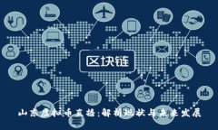 山东虚拟币直播：解析现
