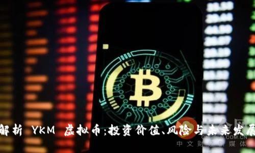 全面解析 YKM 虚拟币：投资价值、风险与未来发展趋势