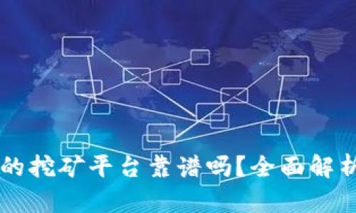 TPWallet里的挖矿平台靠谱吗？全面解析与用户指南