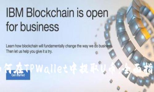 如何在TPWallet中提取U币:全面指南