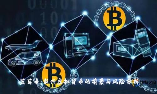 蓝莓币：新兴虚拟货币的前景与风险分析