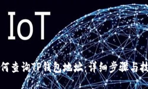 如何查询TP钱包地址：详细步骤与技巧