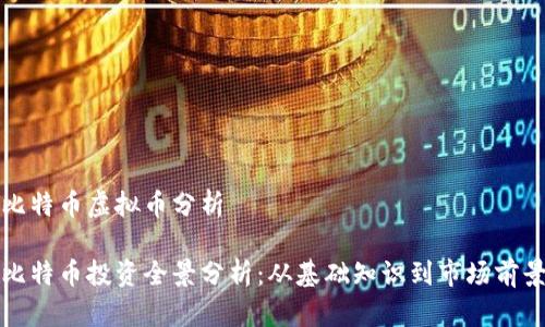 比特币虚拟币分析

比特币投资全景分析：从基础知识到市场前景