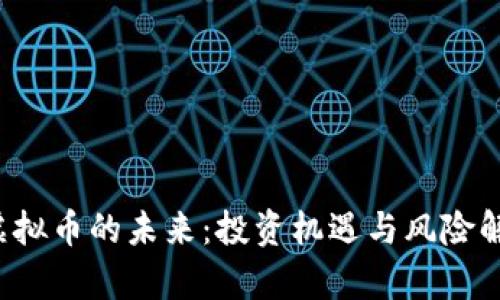  虚拟币的未来：投资机遇与风险解析