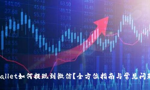  TPWallet如何提现到微信？全方位指南与常见问题解析