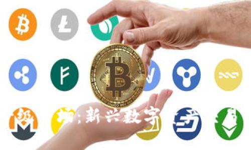 TPWallet一级市场：新兴数字资产交易平台全解析
