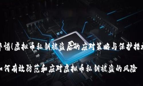 警惕！虚拟币私钥被盗后的应对策略与保护措施

如何有效防范和应对虚拟币私钥被盗的风险