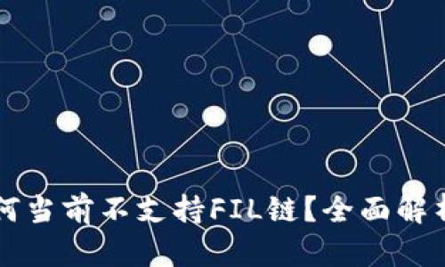 TPWallet为何当前不支持FIL链？全面解析与解决方案