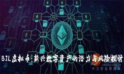 BJL虚拟币：新兴数字资产的潜力与风险探讨
