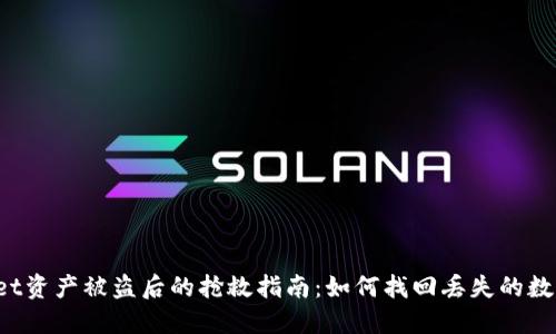 TPWallet资产被盗后的抢救指南：如何找回丢失的数字资产？