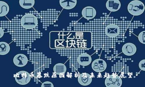 比特币暴跌原因解析及未来趋势展望