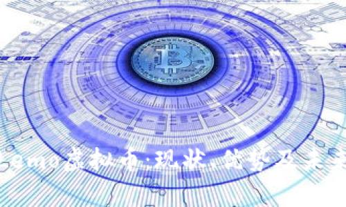 深入解析Lemo虚拟币：现状、优势及未来发展趋势
