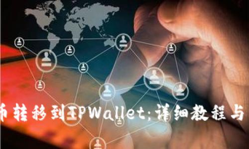 如何将ABEL币转移到TPWallet：详细教程与常见问题解答