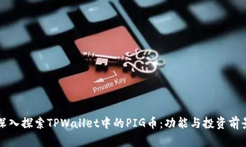 深入探索TPWallet中的PIG币：功能与投资前景