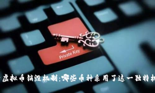 探索虚拟币销毁机制:哪些币种采用了这一独特机制?