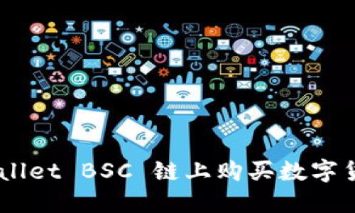 如何在TP Wallet BSC 链上购买数字货币:详细指南