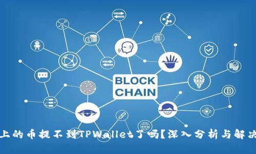 欧意上的币提不到TPWallet了吗?深入分析与解决方案