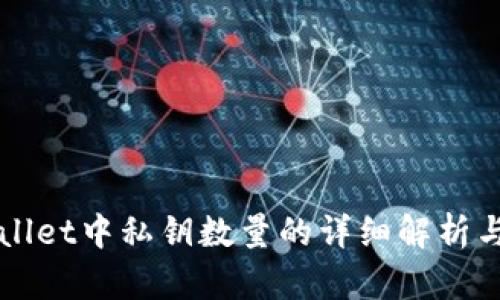 TPWallet中私钥数量的详细解析与应用