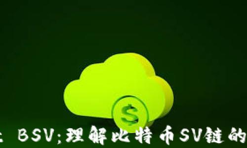TPWallet BSV:理解比特币SV链的数字钱包