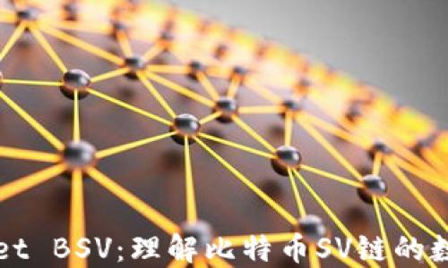 TPWallet BSV:理解比特币SV链的数字钱包