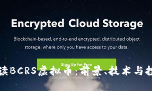 全面解读BCRS虚拟币：前景、技术与投资分析