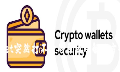 TPWallet突然打不开的原因及解决方案分析