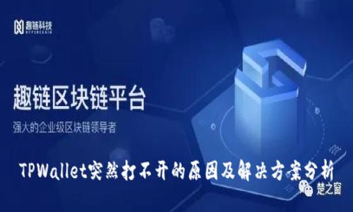TPWallet突然打不开的原因及解决方案分析
