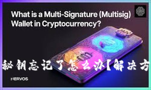 tpwallet私钥秘钥忘记了怎么办?解决方案与注意事项