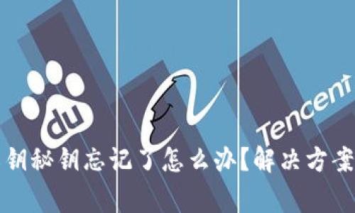 tpwallet私钥秘钥忘记了怎么办?解决方案与注意事项