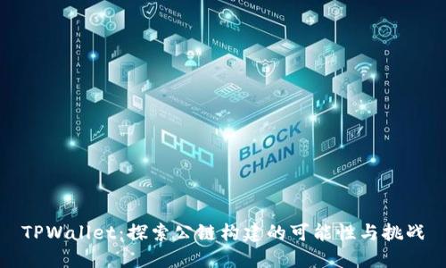 TPWallet:探索公链构建的可能性与挑战