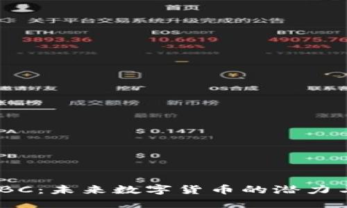 虚拟币AMBC:未来数字货币的潜力与投资机会