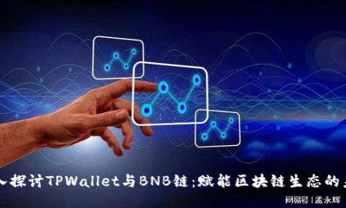深入探讨TPWallet与BNB链：赋能区块链生态的未来