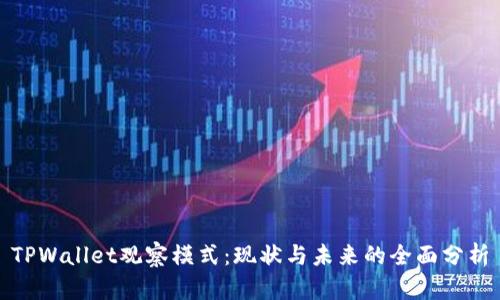 TPWallet观察模式：现状与未来的全面分析