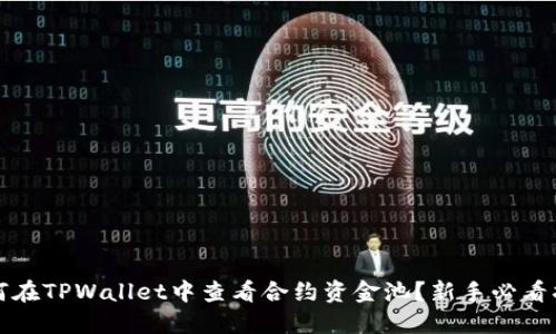 如何在TPWallet中查看合约资金池?新手必看指南